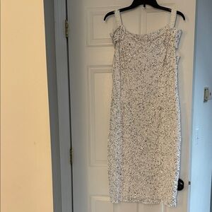 Elegant Silver Sequin Dress